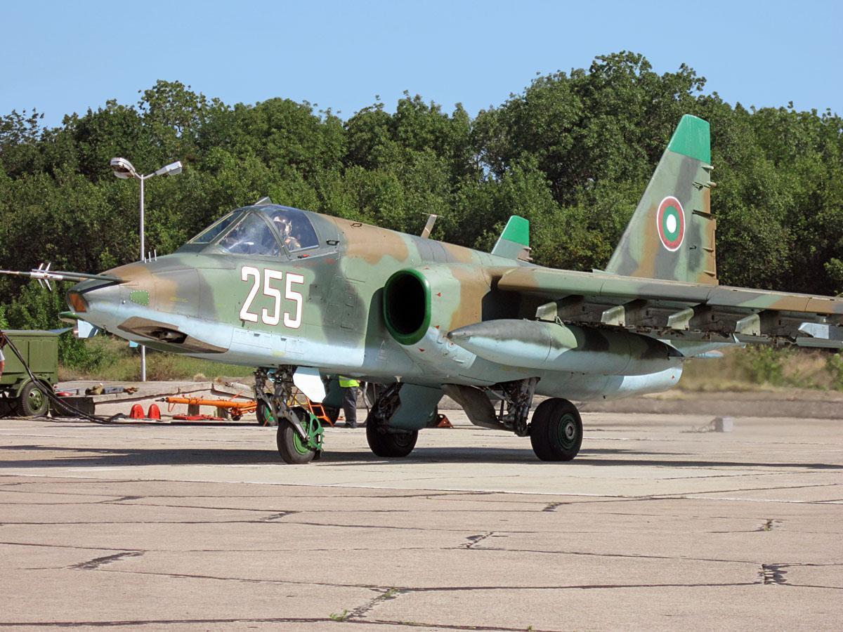 飛行機ネタ・現代のシュトルモヴィークSU-25（6月11日 雨 18